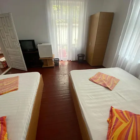 Casa Mircea *